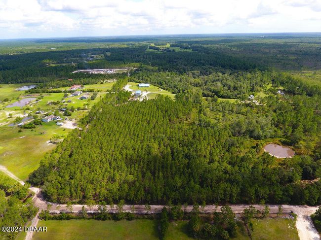 0 Natalies Ln, Home with 0 bedrooms, 0 bathrooms and null parking in ORMOND BEACH FL | Image 8