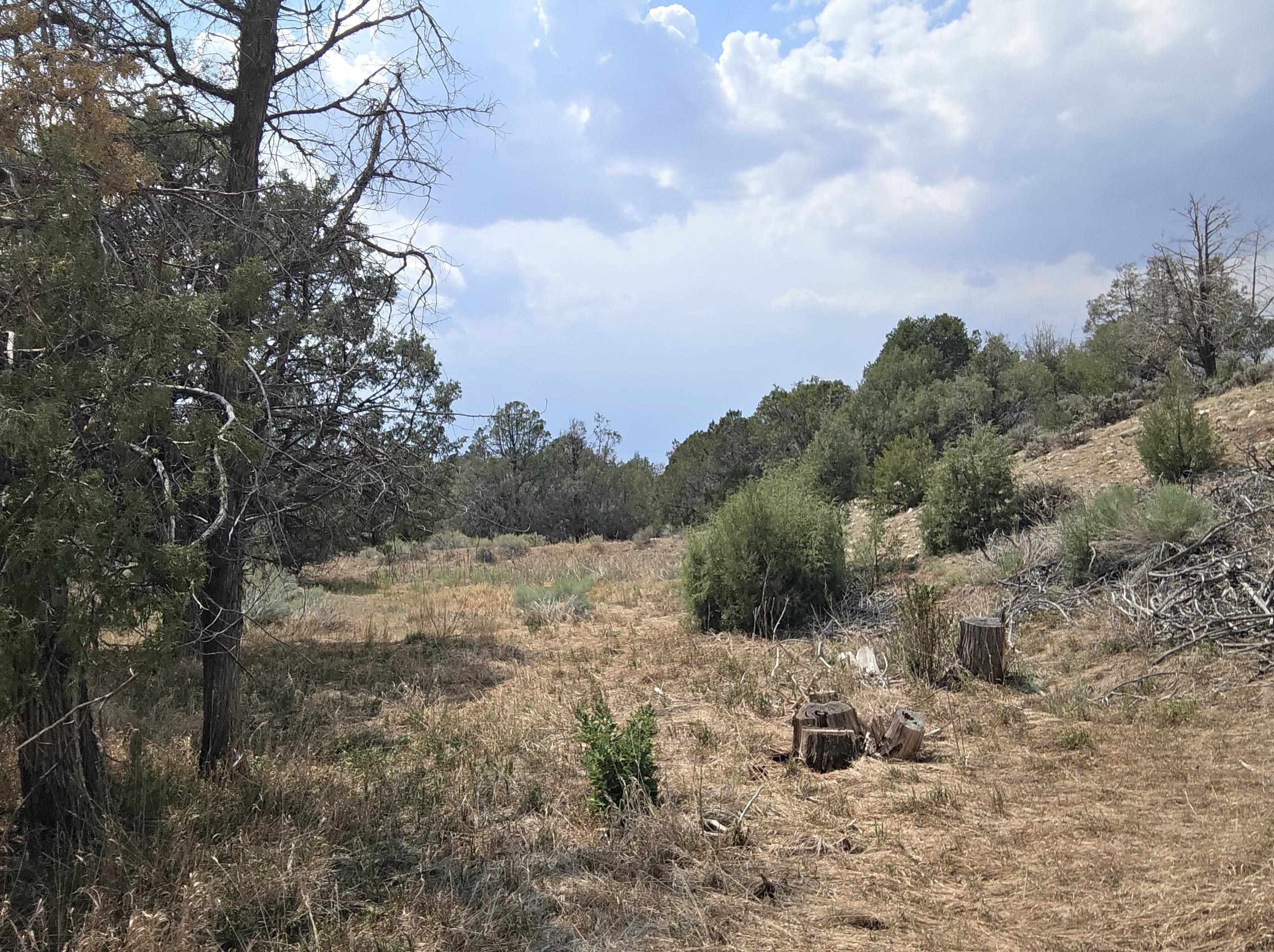 Land in Arroyo Seco 5