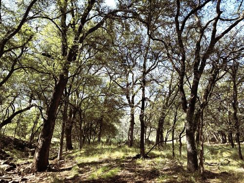 2 Sandy Mountain, Sunrise Beach, TX, 78643 | Card Image