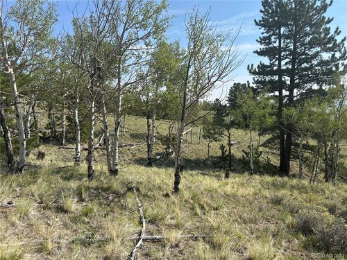 11414 Ranch Rd, Hartsel, CO, 80449 | Card Image