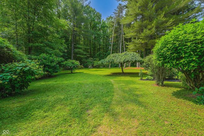 Garden | Image 54
