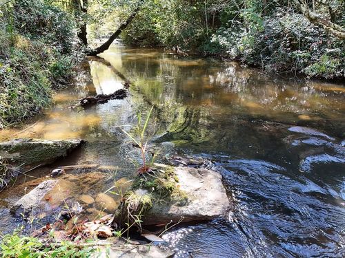 LT 27/28 Donna Lee Ln, Mineral Bluff, GA, 30559 | Card Image