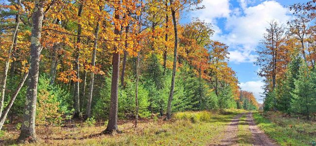 Lot 2, Block 1 Raspberry Trail, Home with 0 bedrooms, 0 bathrooms and null parking in LA POINTE WI | Image 5