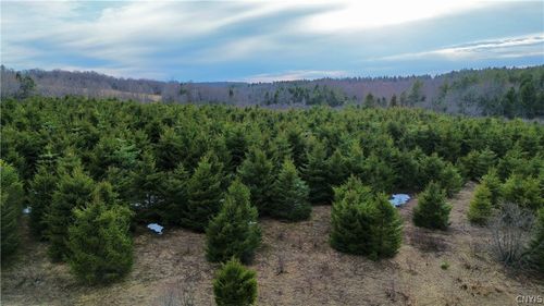 Lot 6 Burrell Rd, Little Falls, NY, 13365 | Card Image