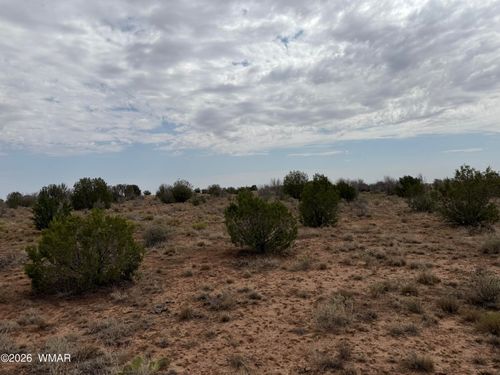 6-1037 Mira Rd, Heber, AZ, 85928-5908 | Card Image