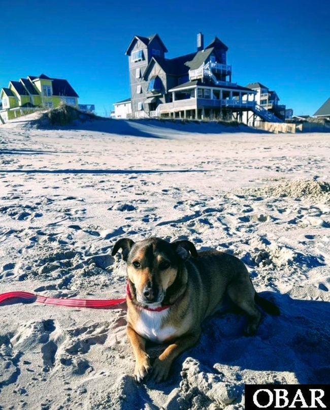 23237 Surf Side Dr, House other with 4 bedrooms, 3 bathrooms and null parking in Rodanthe NC | Image 32