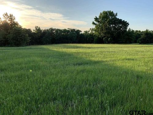13167 (Lot 4) County Road 420, Tyler, TX, 75704-2211 | Card Image