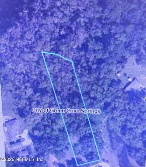 1302 East St, GREEN COVE SPRINGS, FL, 32043-2220 | Card Image