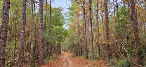 NHN Firefox, Poplarville, MS, 39470 | Card Image