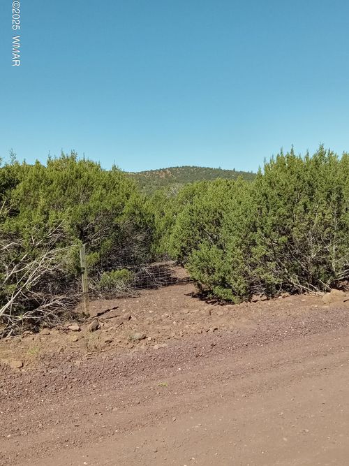 TBD County Road 3193 Lot 258, Vernon, AZ, 85940 | Card Image