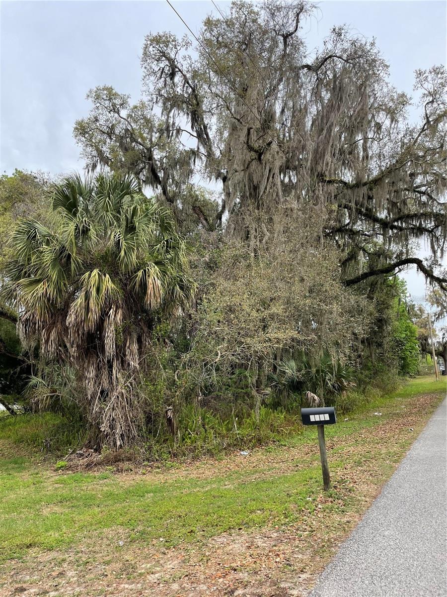 Land in BROOKSVILLE 5
