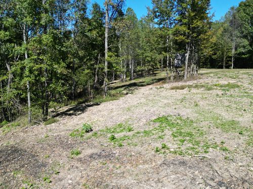 1 Gunter Hollow Road, Pulaski, TN, 38478 | Card Image