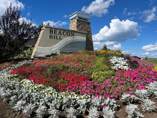 {{alt}} | Card Image