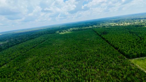 TBD Sw County Road 141, Jasper, FL, 32052 | Card Image