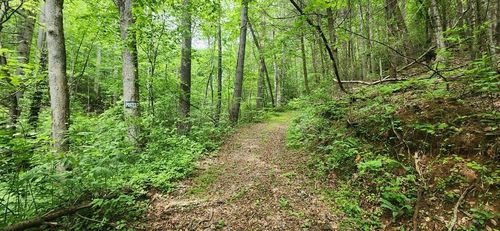 13 Acres Akers Ct, Ellijay, GA, 30540 | Card Image
