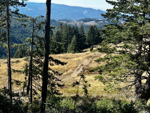 3500 Old 3 Creeks Rd, Blue Lake, CA, 95525 | Card Image