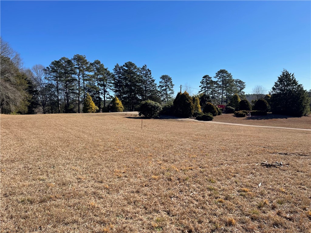 Land in Anderson 4
