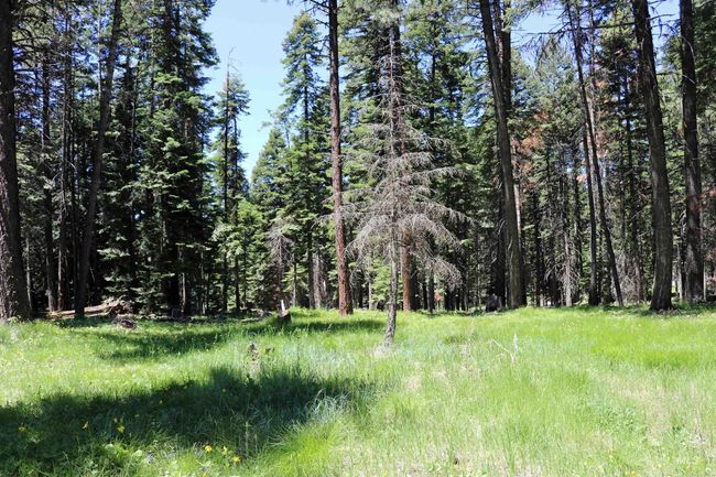 43529 Yellow Pine Ave, House other with 2 bedrooms, 2 bathrooms and 2 parking in Winchester ID | Image 41