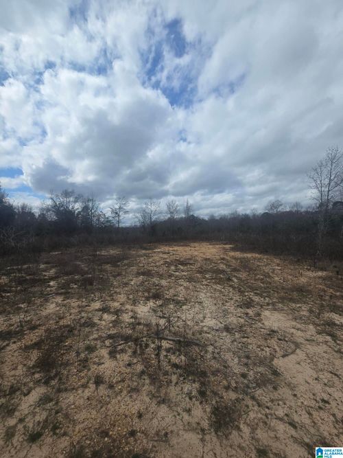 1-0 County Road 351, Maplesville, AL, 36750 | Card Image