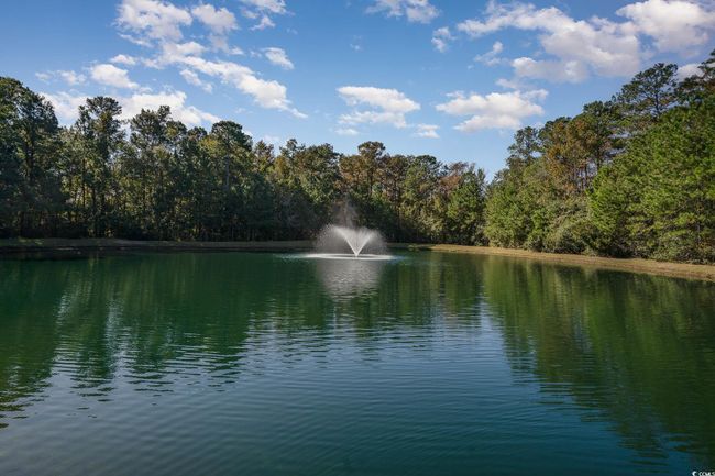UNIT-1605 - 206 Mossy Stone Ct, Condo with 3 bedrooms, 3 bathrooms and null parking in Murrells Inlet SC | Image 35