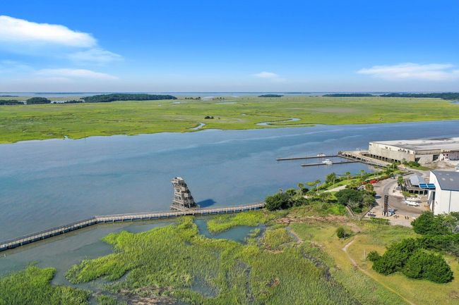 Boardwalk and observation tower | Image 6