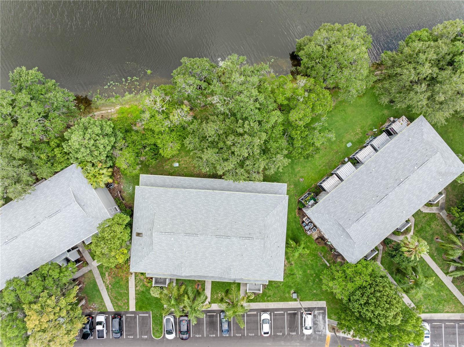 Residential Lease in TAMPA 2