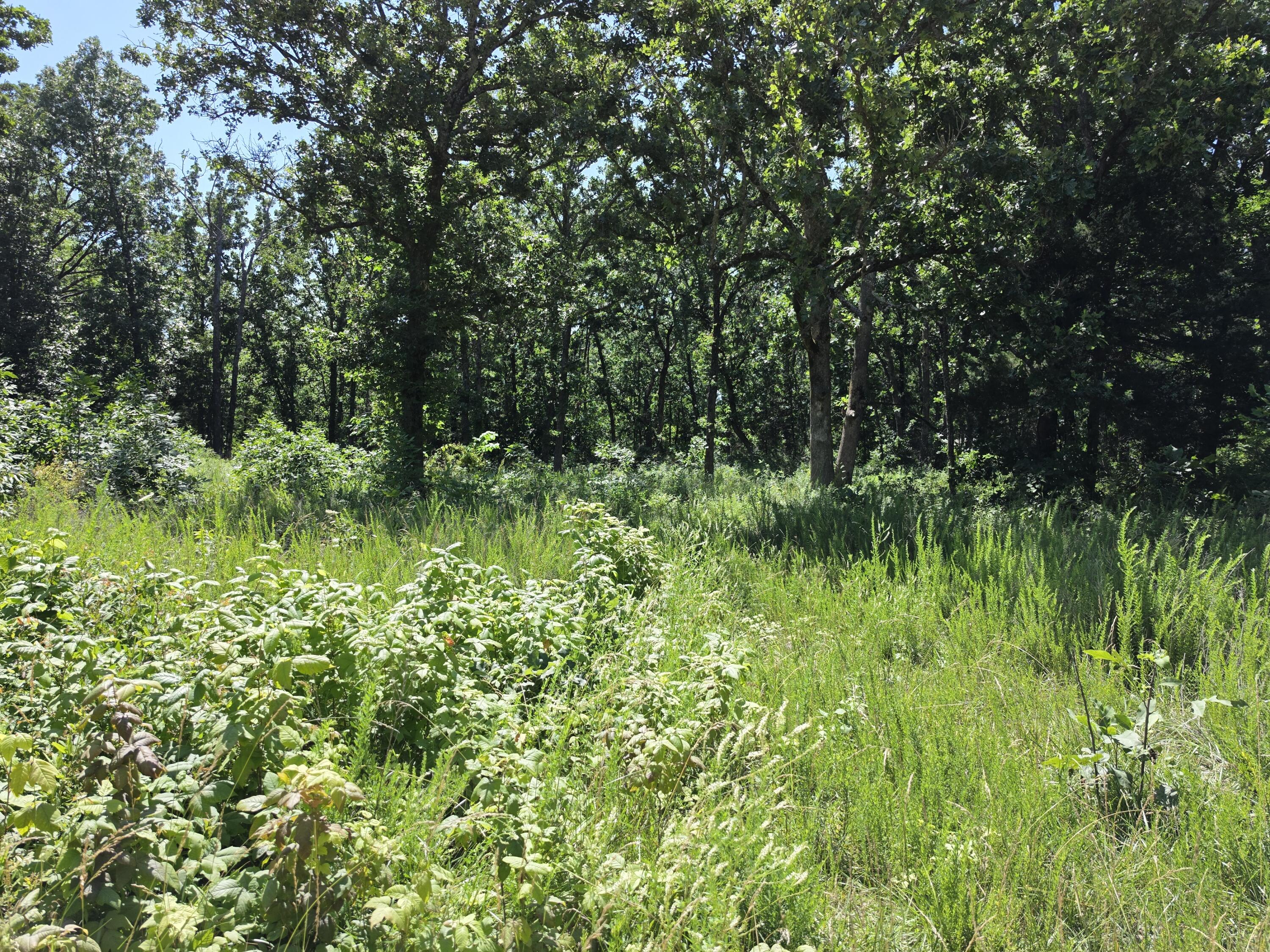Land in Fordland 2