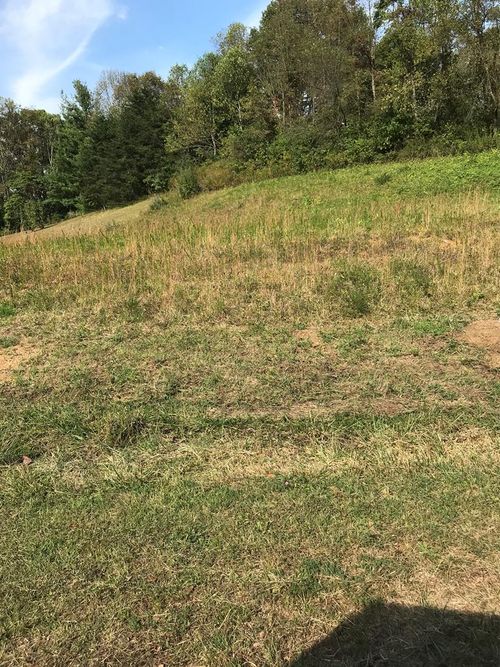 TBD Lot #38 Brooke Street, Chilhowie, VA, 24319 | Card Image