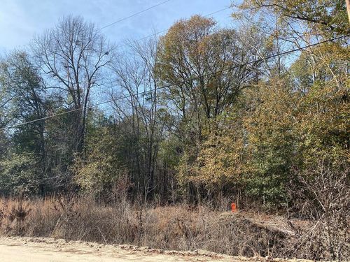 lot-14-Lot 14 Robin Blvd, Swainsboro, GA, 30401-5766 | Card Image