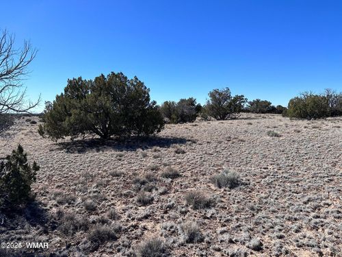 004Q N N7204, St. Johns, AZ, 85936 | Card Image