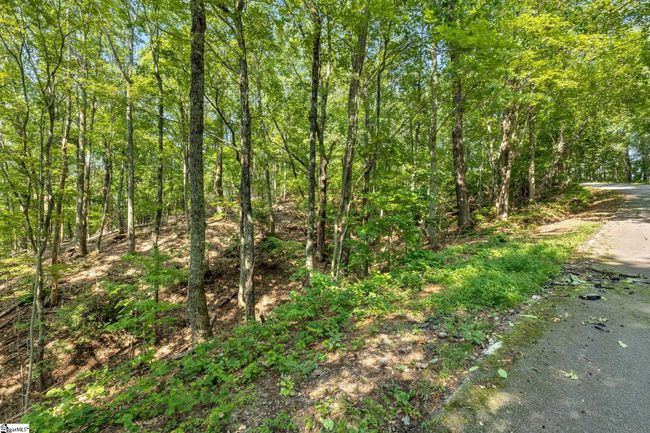00 Old Chapman Trl, Home with 0 bedrooms, 0 bathrooms and null parking in Pickens SC | Image 15