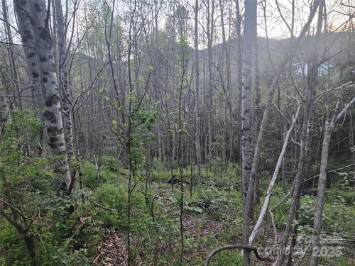 1-Lt 1 Running Water Cir, Sylva, NC, 28779-9675 | Card Image