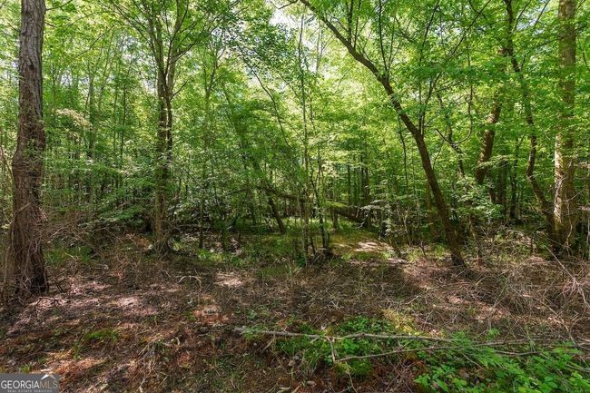 6053 Sun Hill Grange Rd, Home with 0 bedrooms, 0 bathrooms and null parking in Davisboro GA | Image 81
