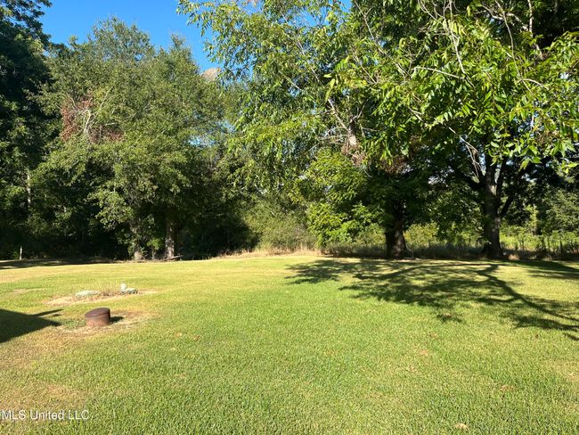 Backyard-Fairchilds | Image 13