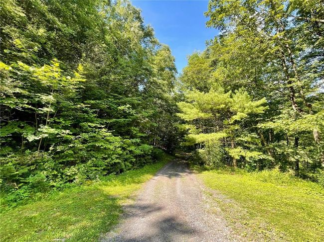 View of driveway | Image 13