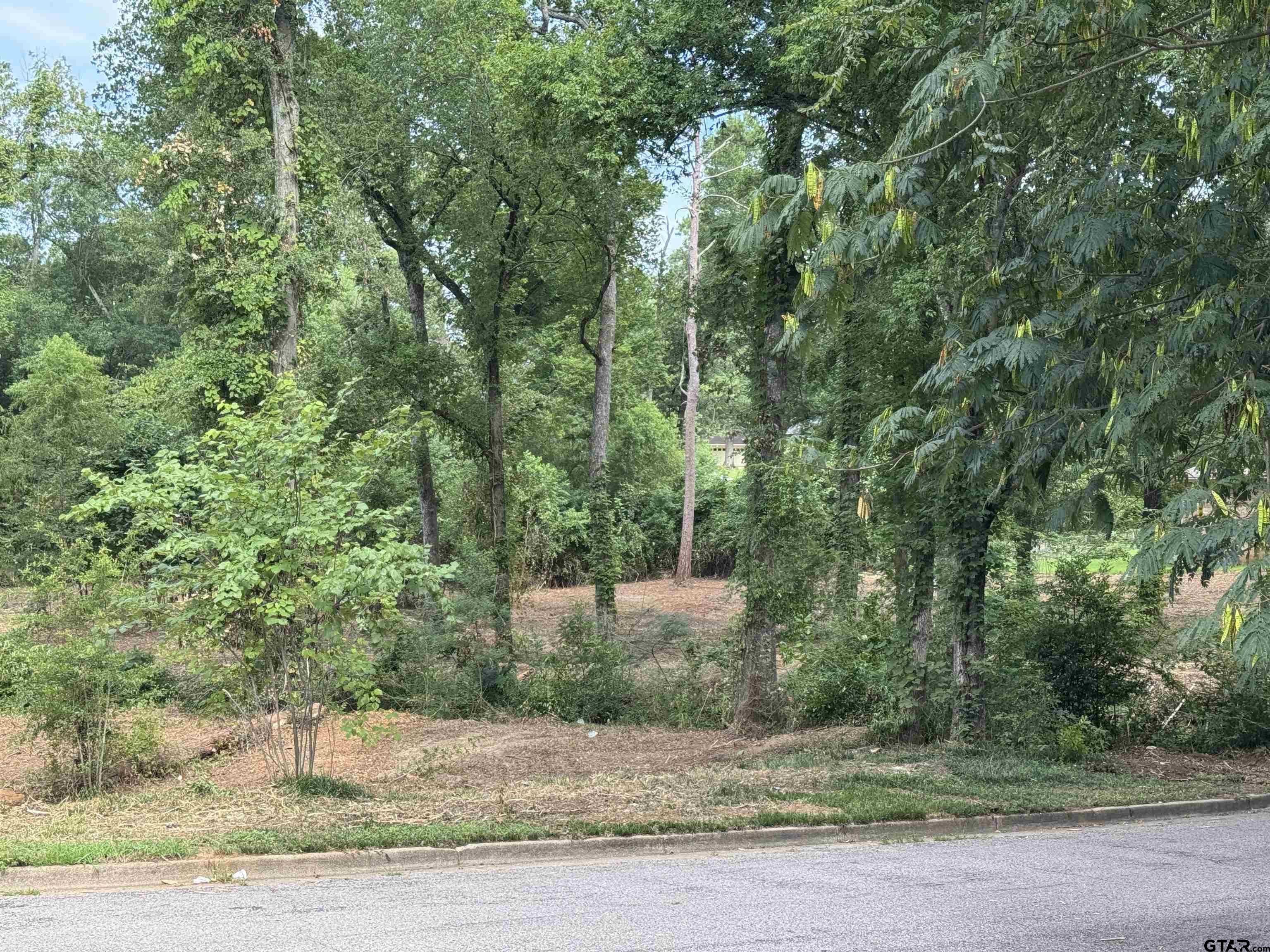 Land in Tyler 2