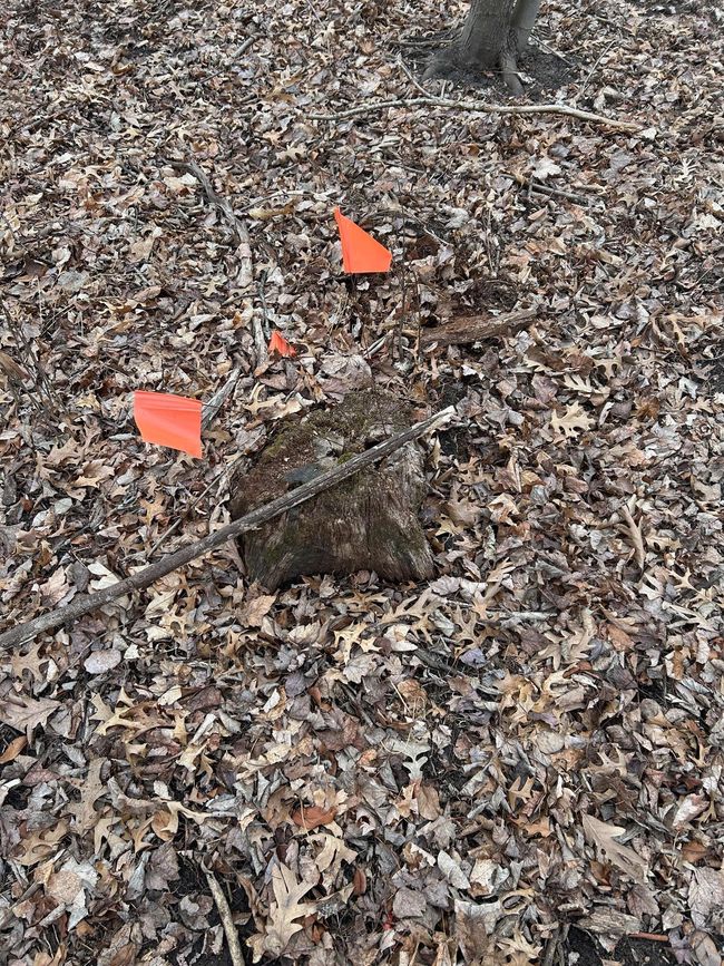 Not sure what this means. appears to be on the border | Image 6