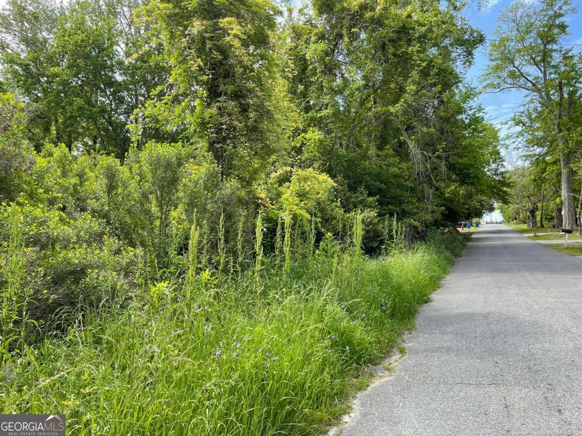 Land in Vidalia