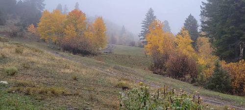 187 Edwards Gulch Rd, Drummond, MT, 59832 | Card Image