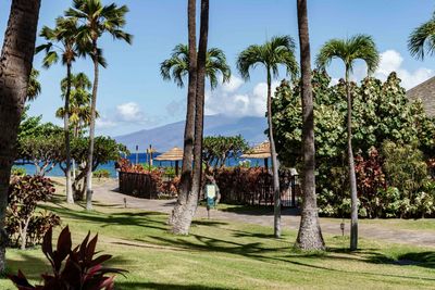 153 - 3445 Lower Honoapiilani Rd, Condo with 2 bedrooms, 2 bathrooms and null parking in Lahaina HI | Image 1