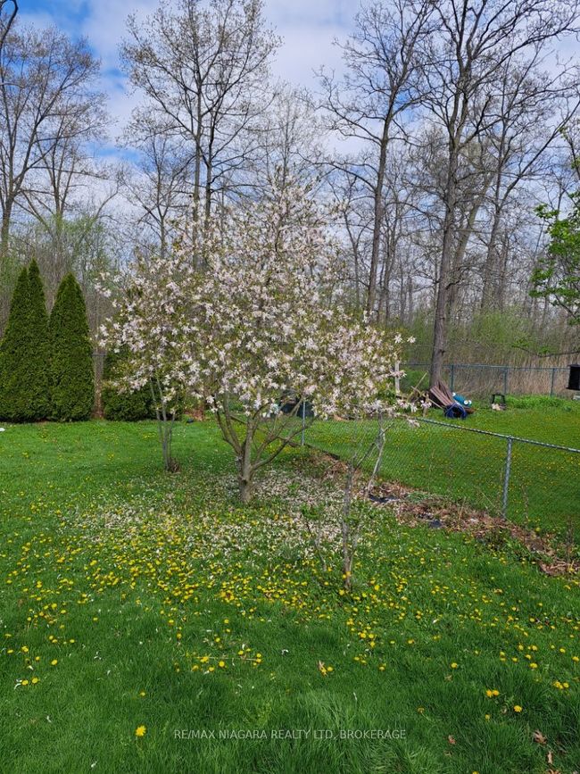 3555 Rapids View Dr, House other with 3 bedrooms, 2 bathrooms and 4 parking in Niagara Falls ON | Image 33