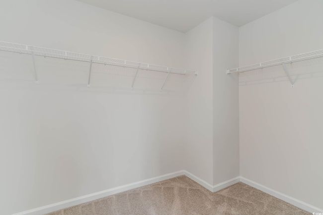 Spacious closet featuring carpet flooring | Image 17