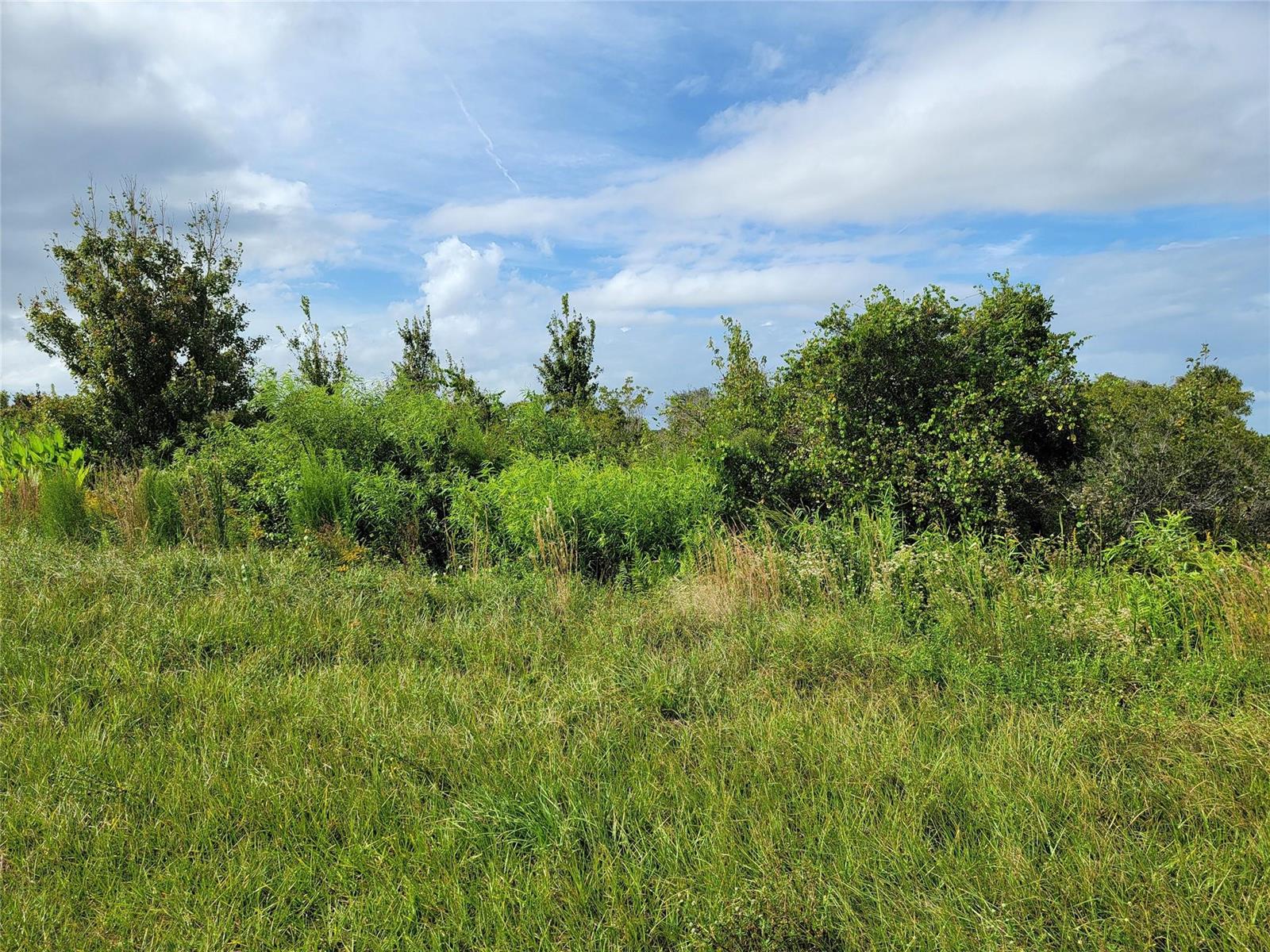 Other in Okeechobee 3