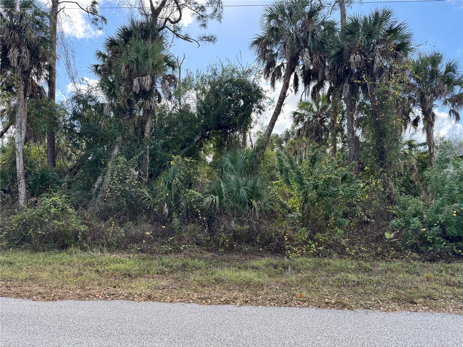 Land in PORT CHARLOTTE 4