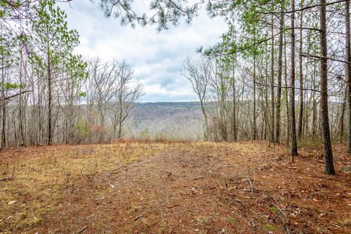 0 Split Rail Way, Guild, TN, 37340 | Card Image
