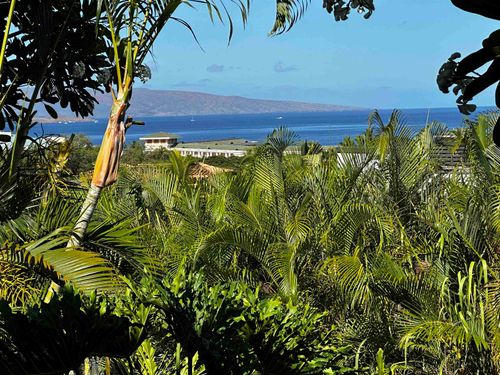 apt-203-10 Wailea Ekolu Pl, Kihei, HI, 96753-9501 | Card Image
