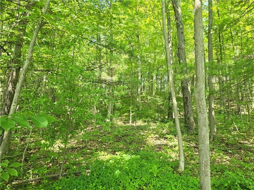 0 Warren Rd, Middlesex, NY, 14507 | Card Image