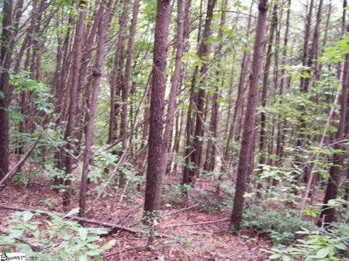 lot-87-gauley-falls-343 Gauley Falls Road, Pickens, SC, 29671 | Card Image