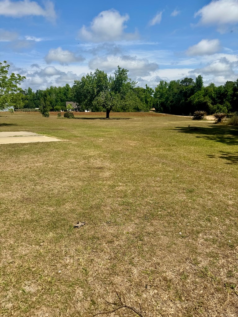 Residential in Ray City 2
