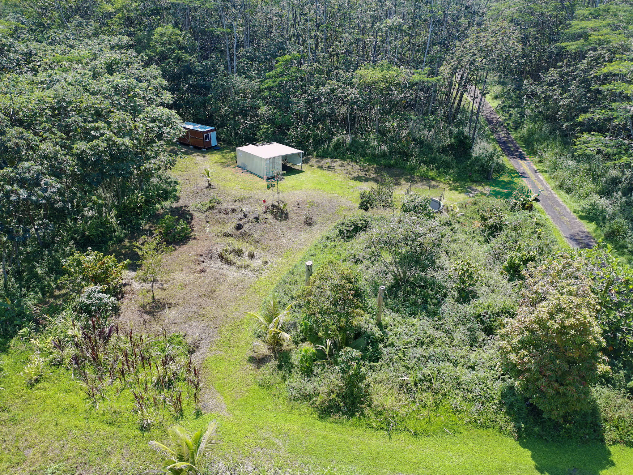 Land in Pahoa 4